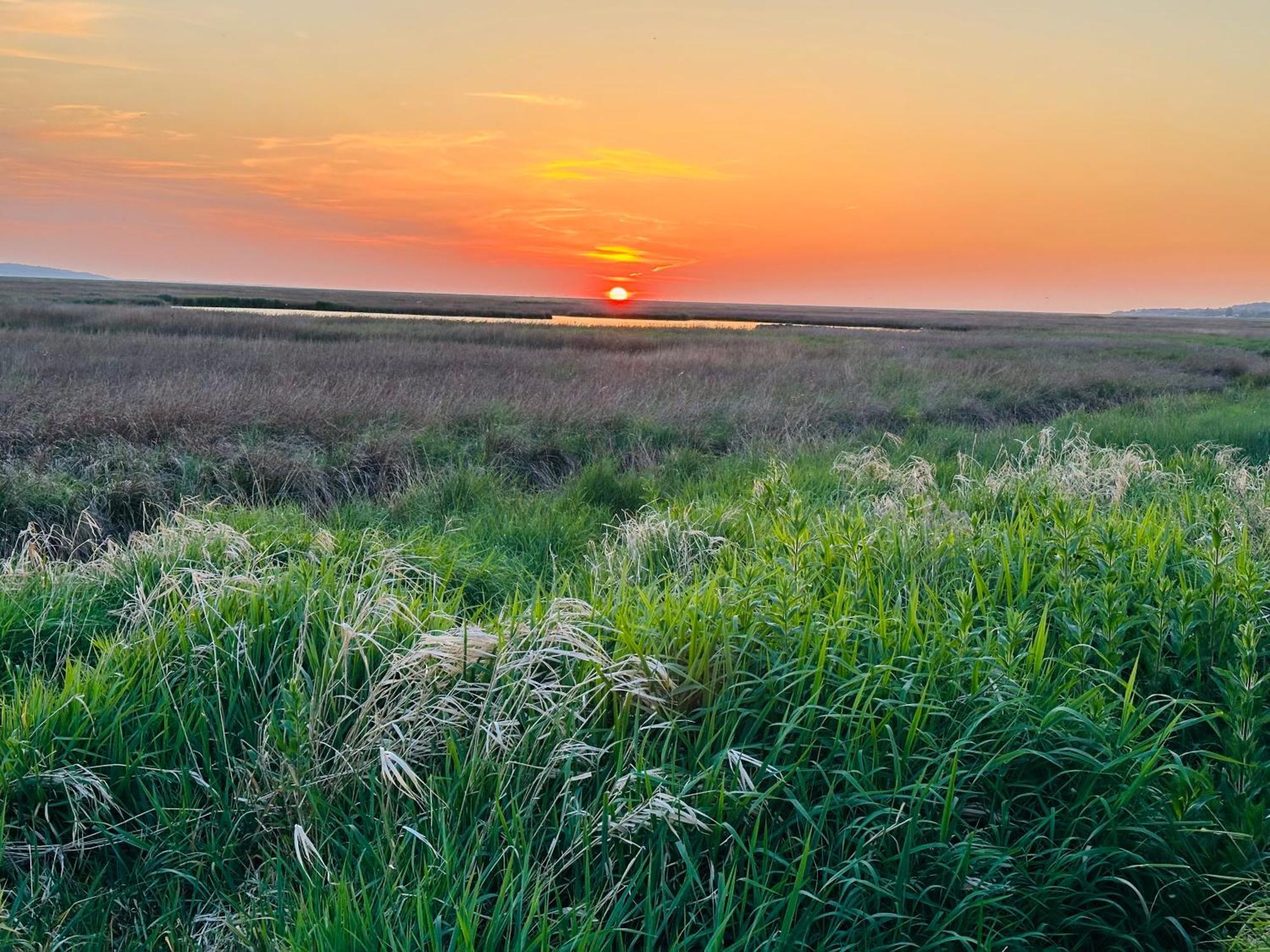The Rambler'S Rest Cottage, Parkgate, Wirral Parkgate  Εξωτερικό φωτογραφία